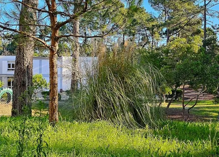 Cabedelo * 비아나도카스텔로