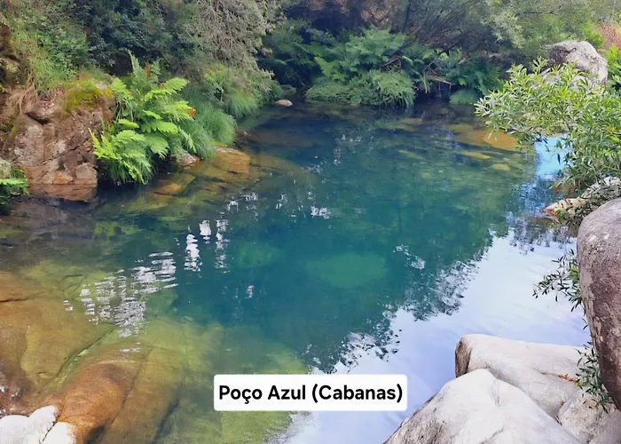 Cabedelo 비아나도카스텔로