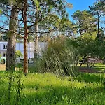 Cabedelo * Viana do Castelo