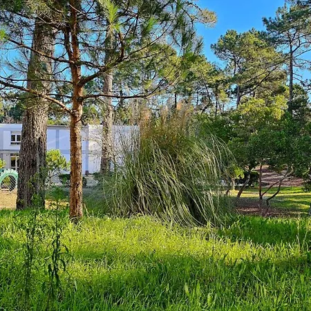 Cabedelo * Viana do Castelo