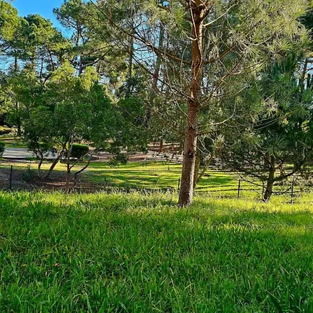 Appartement Cabedelo *