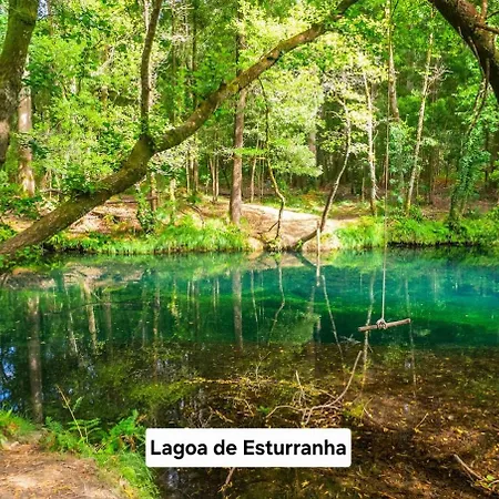 Cabedelo Appartement Viana do Castelo
