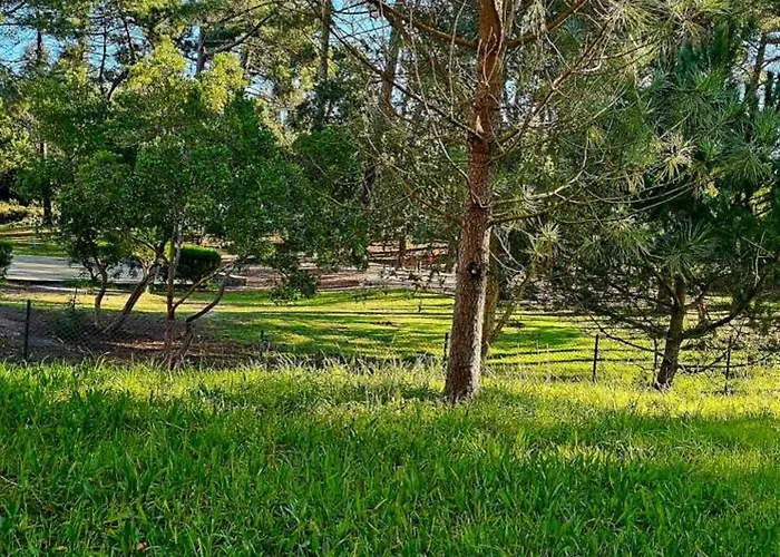 Appartement Cabedelo *